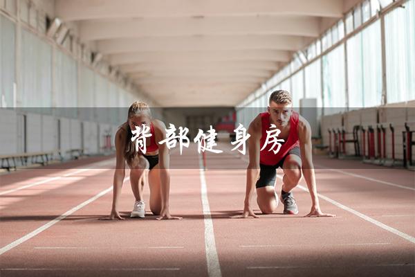 背部健身房(背部健身房器材怎么使用)