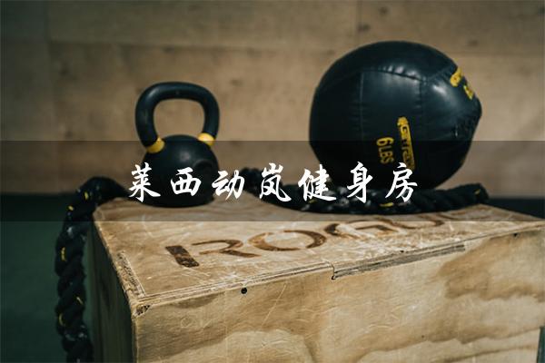 莱西动岚健身房(博兴动岚健身房是什么)