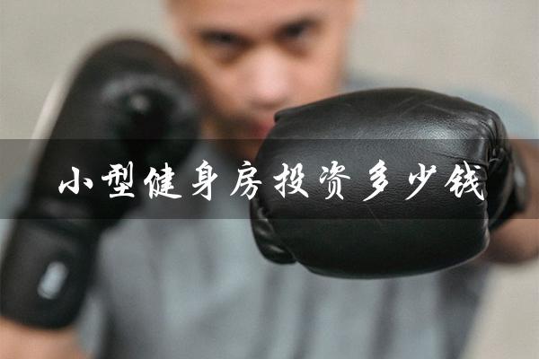 小型健身房投资多少钱（小型健身房装修效果图是什么）