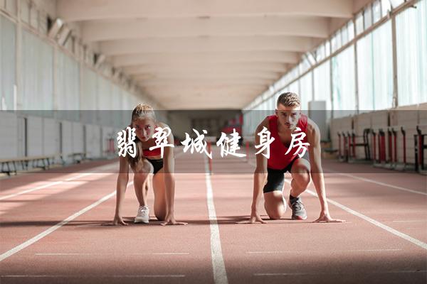 翡翠城健身房(打造健康与活力的乐园) 翡翠城健身房(打造健康与活力的乐园)