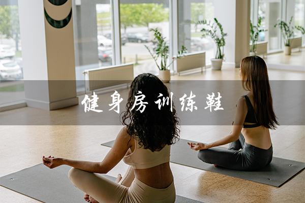 健身房训练鞋(健身房训练鞋推荐吗)