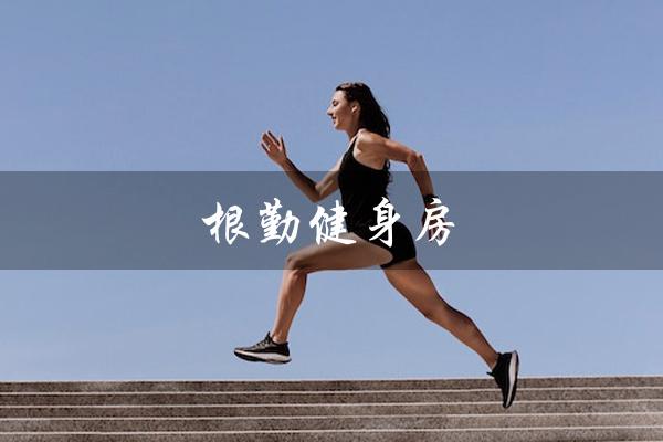 根勤健身房(勤鸟健身房是什么)