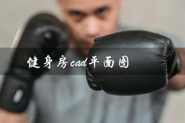 健身房cad平面图(200平健身房平面图是怎样的)