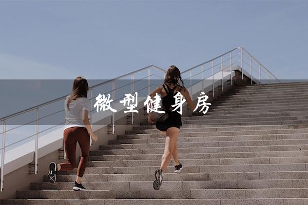 微型健身房(微型健身房需要哪些器材)