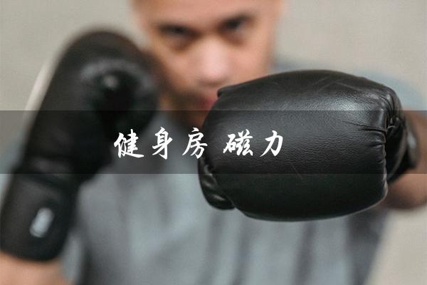 健身房 磁力(健身房磁力单车锻炼有何好处)