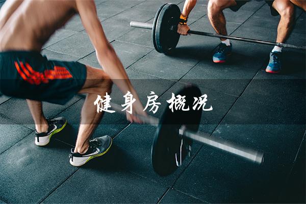 健身房概况(健身房单位概况是什么)