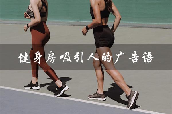 健身房吸引人的广告语(健身房广告语图片是什么)
