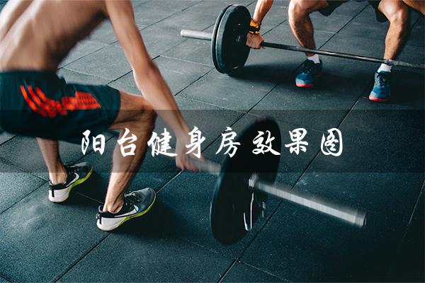 阳台健身房效果图(阳台健身房设计效果图是什么)