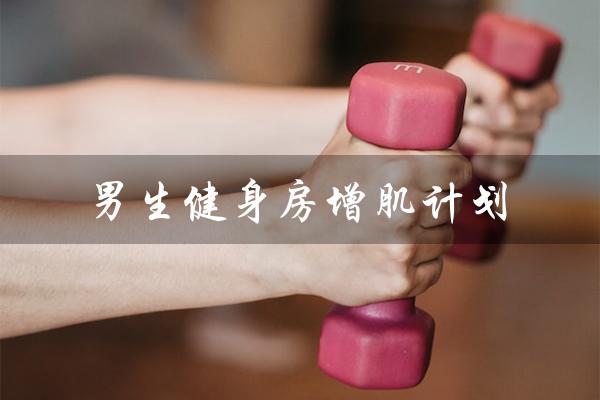男生健身房增肌计划(健身房增肌训练计划方案是什么)