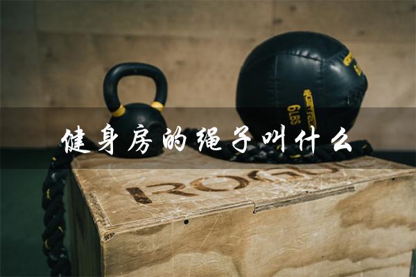 健身房的绳子叫什么(健身房的绳子叫什么)