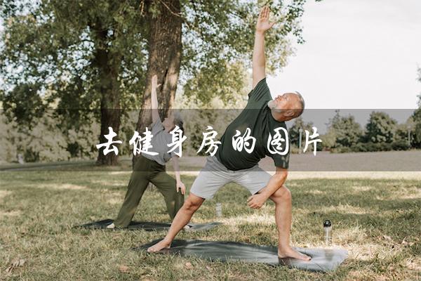 去健身房的图片(去健身房图片真实吗)