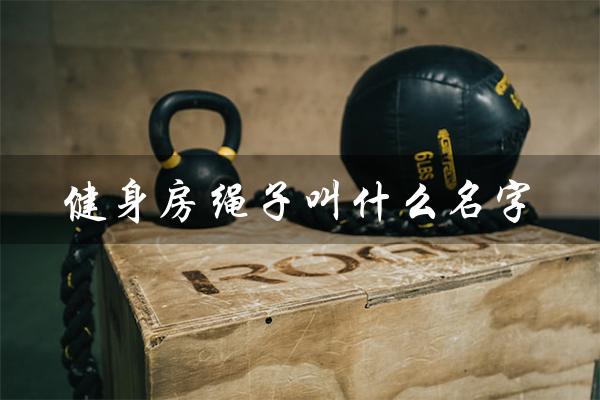 健身房绳子叫什么名字(健身房名字创意大全集)