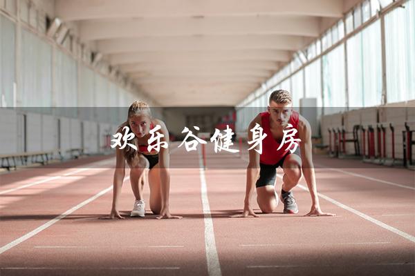 欢乐谷健身房(欢乐谷附近有健身房吗)