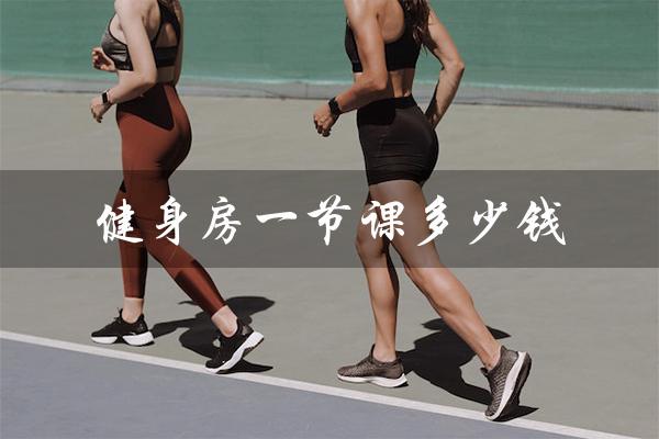 健身房一节课多少钱(健身房一节课多少分钟)