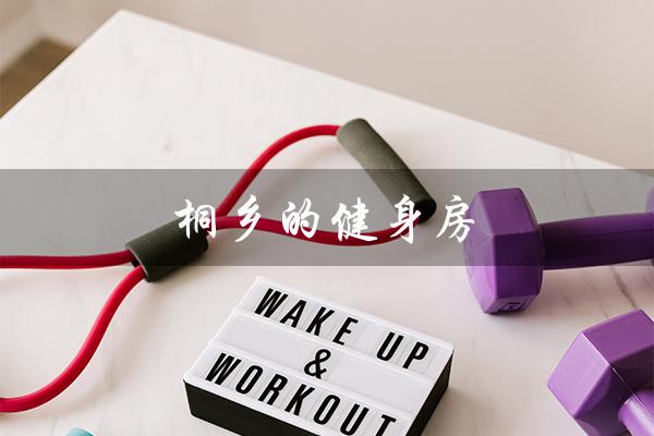 桐乡的健身房(桐乡健身房哪家最好)