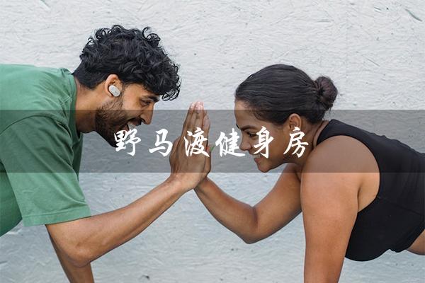 野马渡健身房(野马渡健身房怎样)