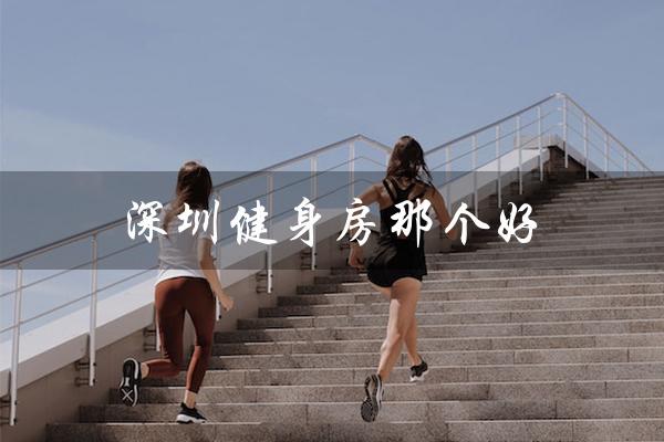 深圳健身房那个好(深圳健身房排名是什么)