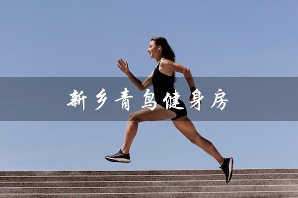 新乡青鸟健身房(新乡黄金时代健身房是什么)