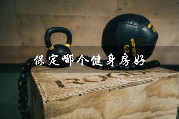 保定哪个健身房好(保定哪个技校正规)