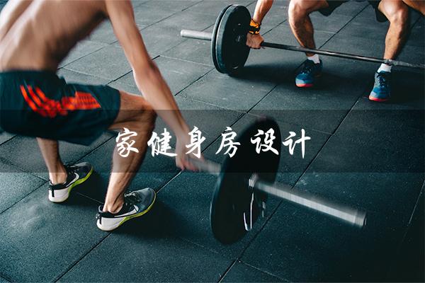 家健身房设计(家内健身房设计如何)