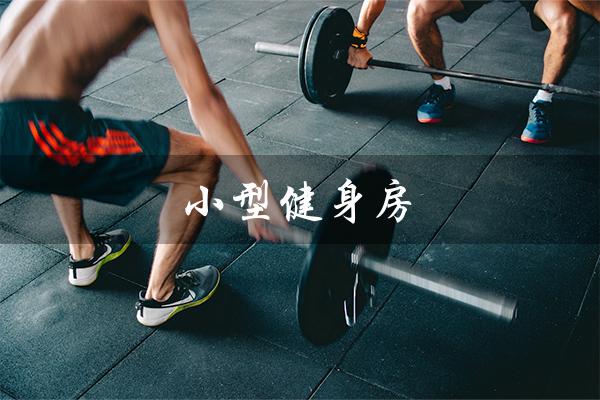 小型健身房(小型健身房装修效果图是什么)