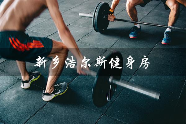 新乡浩尔斯健身房（新乡浩尔斯健身房西区是什么）