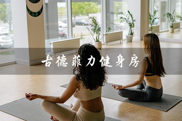 古德菲力健身房(古德菲力健身房价格多少)