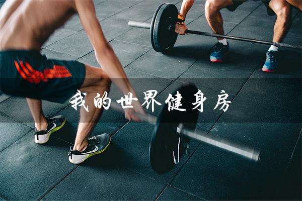 我的世界健身房(我的世界健身房内饰是什么样的)