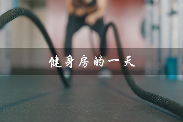 健身房的一天(健身房的一天是怎样的)