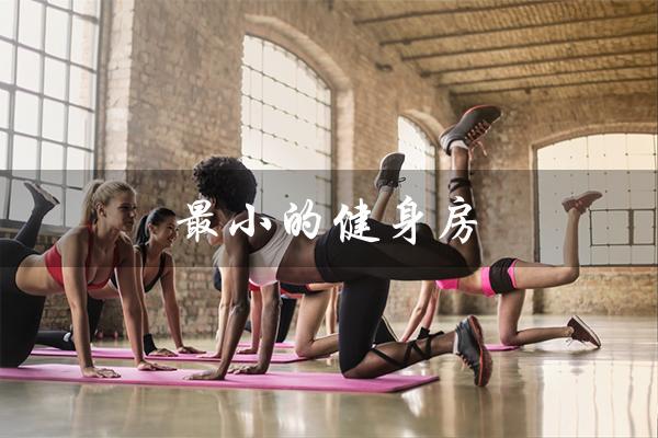 最小的健身房（最小健身房多大）
