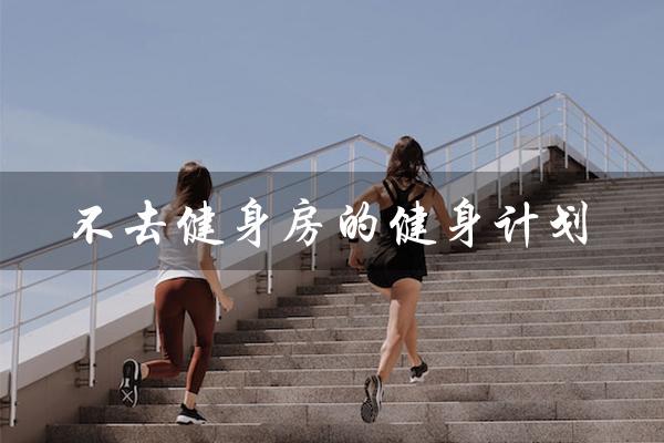 不去健身房的健身计划（健身房入门计划是什么）
