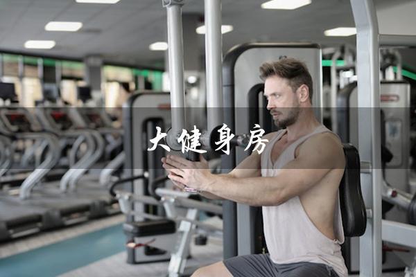 大健身房(健身房是什么)