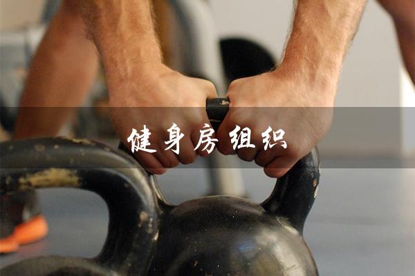 健身房组织(健身房组织机构的设计原则是什么)