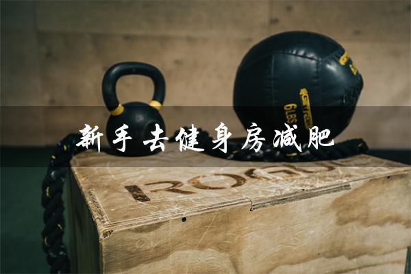 新手去健身房减肥（新手去健身房减肥应该使用哪些器械）